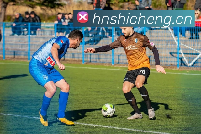 开云官网APP 体育赛事宣传图